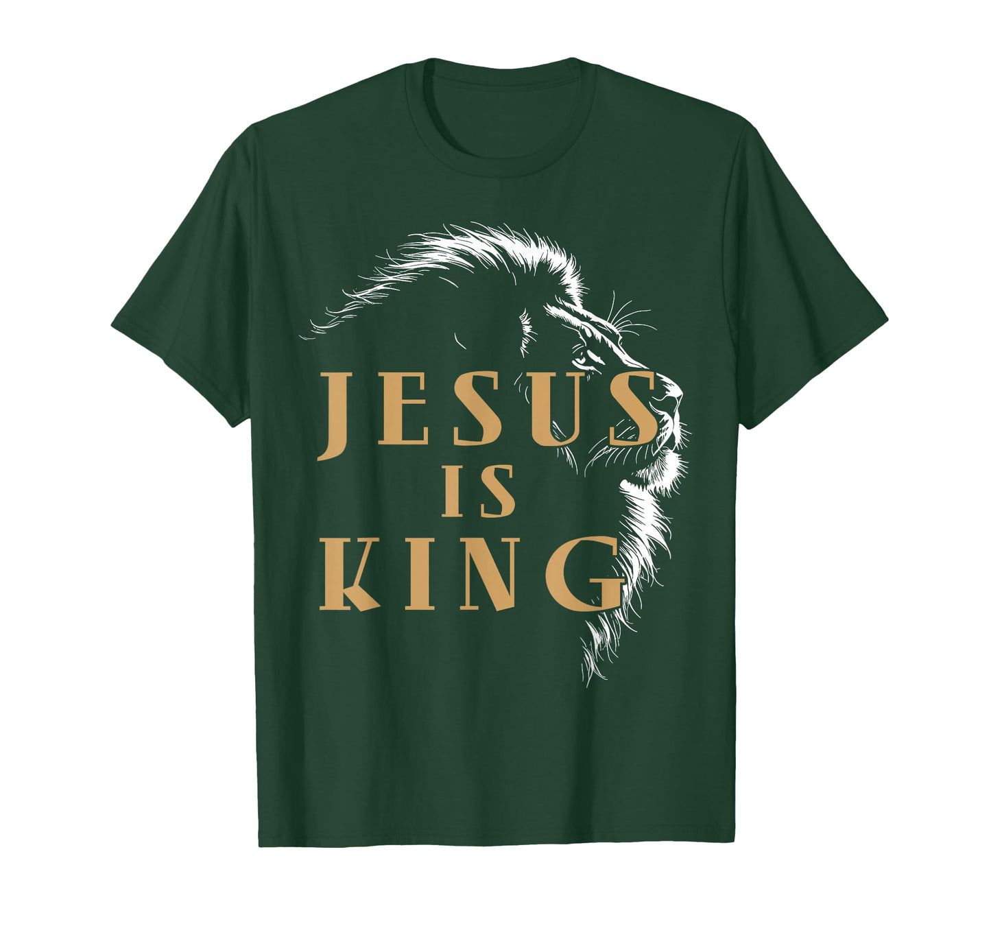 Jesus is King Lion of Judah Shirt, Christian Faith T-Shirt
